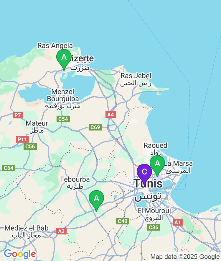 Tunis Available Airport Options